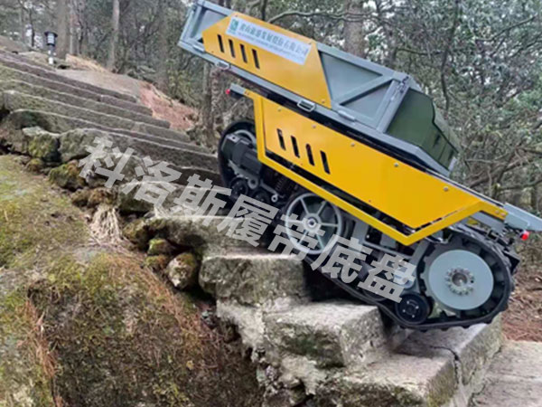 黄山旅游集团攀山侠项目